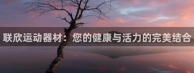 fb体育平台是正规平台吗安全吗:联欣运动器材:您的健康与活力