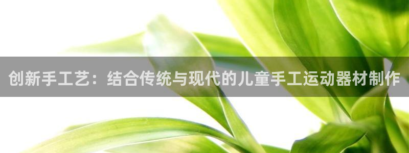 德国fb体育集团:创新手工艺:结合传统与现代的儿童手工运动器