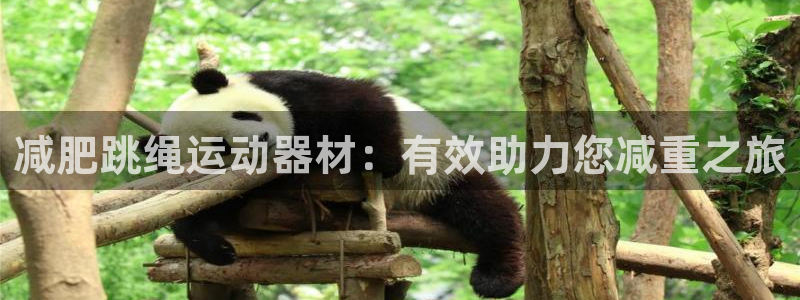 fb体育集团:减肥跳绳运动器材:有效助力您减重之旅