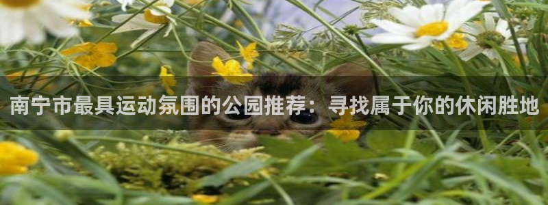 fb体育是干嘛的公司:南宁市最具运动氛围的公园推荐:寻找属于